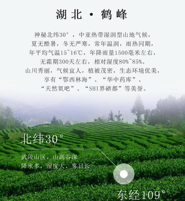 富硒茶是啥茶（富硒茶中的硒指什么）-硒宝网