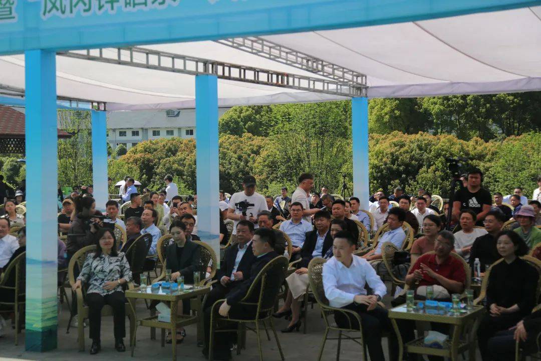 富锌硒茶贵茶（贵州锌硒茶叶）-硒宝网