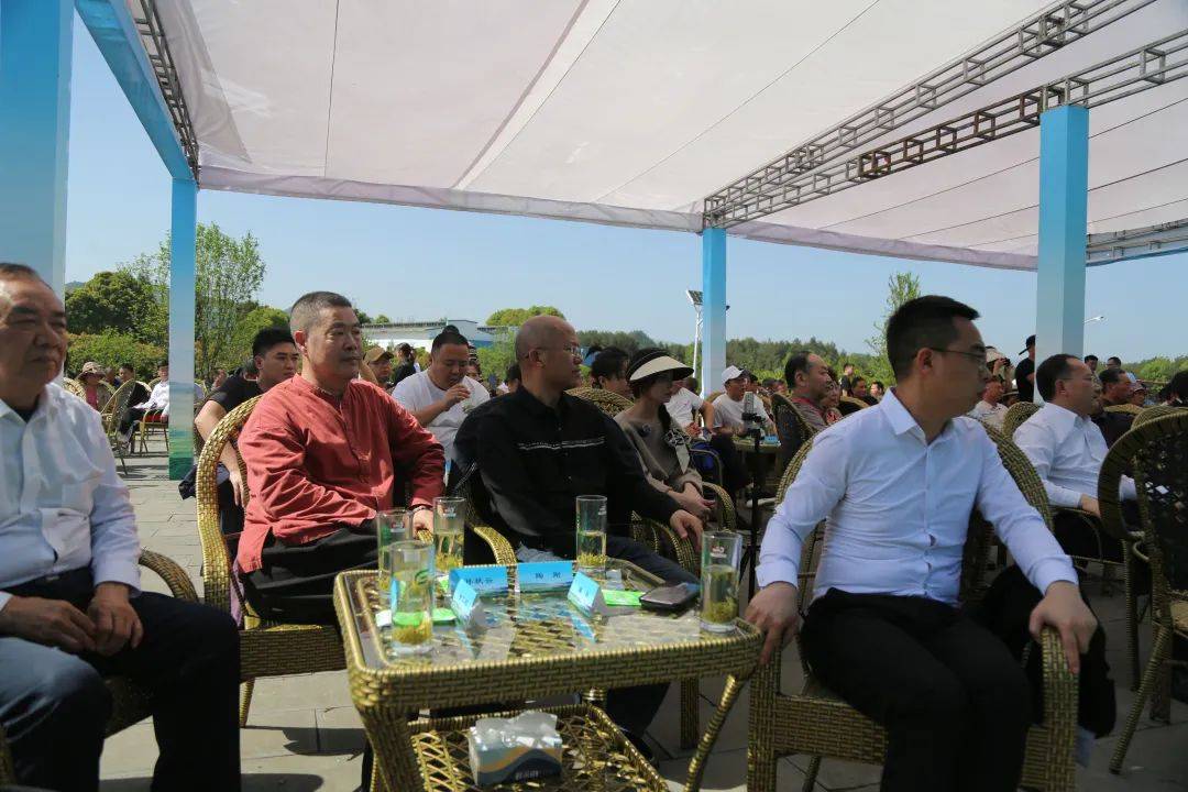 富锌硒茶贵茶（贵州锌硒茶叶）-硒宝网