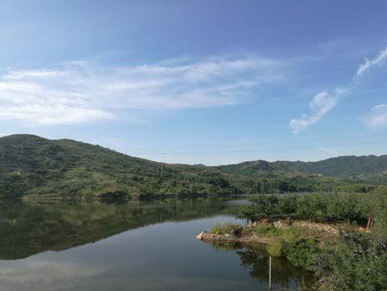 河源 富硒茶(原生茶业富硒茶)-硒宝网