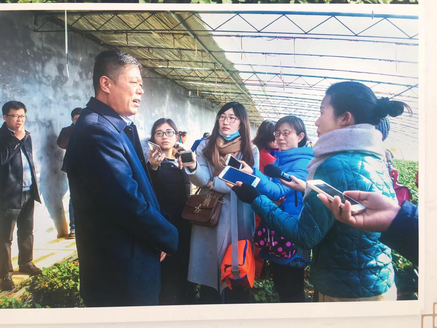 河源 富硒茶(原生茶业富硒茶)-硒宝网