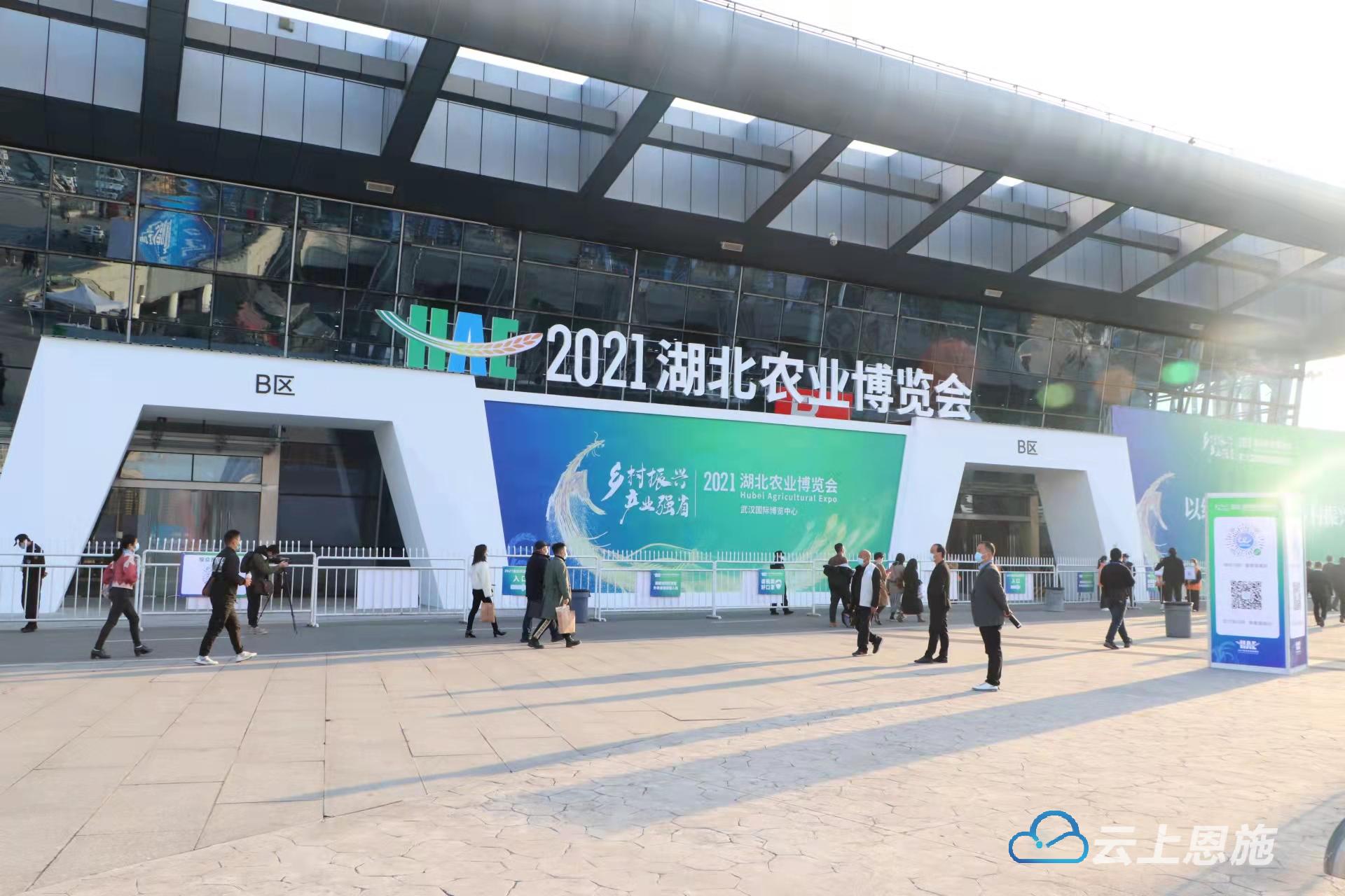 天津富硒藤茶（天津富硒藤茶加工）-硒宝网