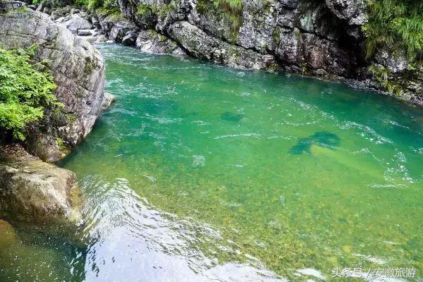 石台富硒茶好(石台富硒茶的功效与作用)-硒宝网