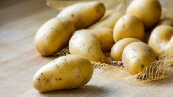 富硒茶养生茶（富硒茶的硒指的是什么）-硒宝网