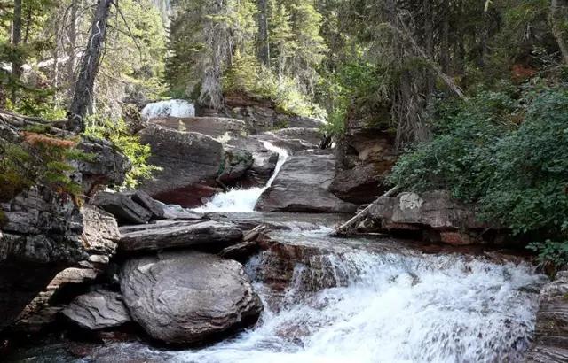 富硒茶乌龙茶（富硒乌龙茶排行榜）-硒宝网