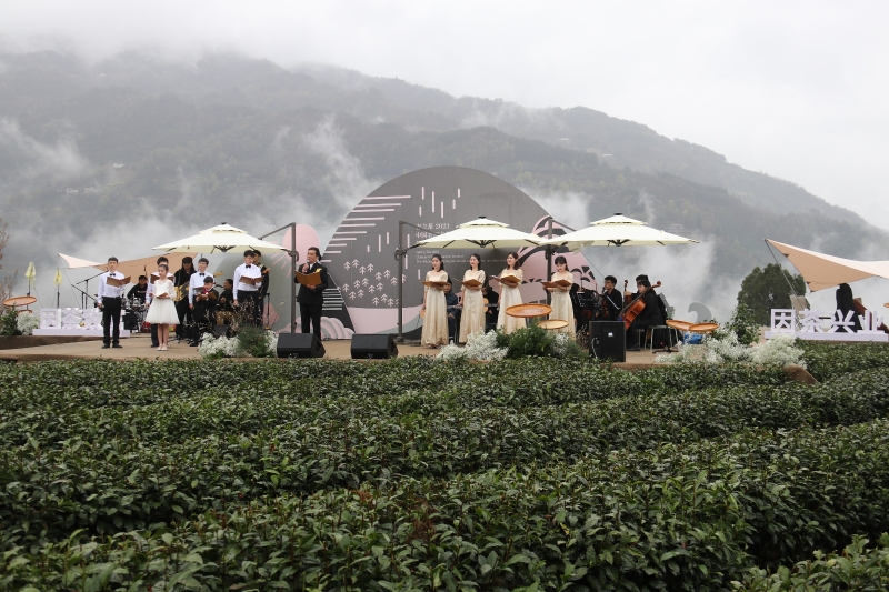 富硒 中国茶（中国十大富硒茶品牌）-硒宝网