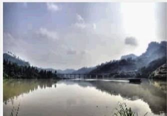 富硒茶乌龙茶（乌龙茶叶的功效）-硒宝网