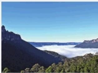 富硒茶乌龙茶（乌龙茶叶的功效）-硒宝网