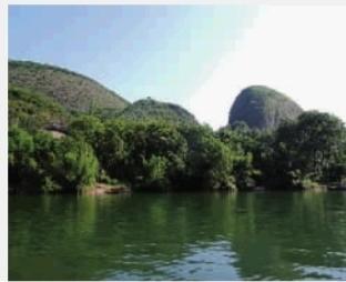 富硒茶乌龙茶（乌龙茶叶的功效）-硒宝网