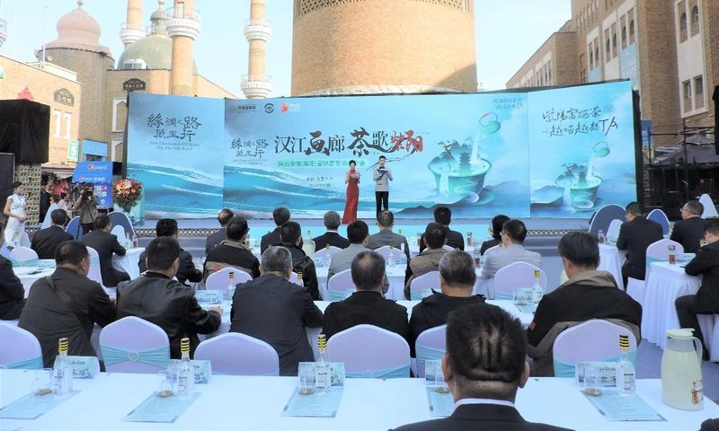 富硒茶铁观音(铁观音福茶多少钱一盒)-硒宝网