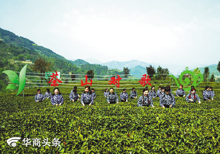 目前的富硒茶(富硒茶硒含量的标准)-硒宝网