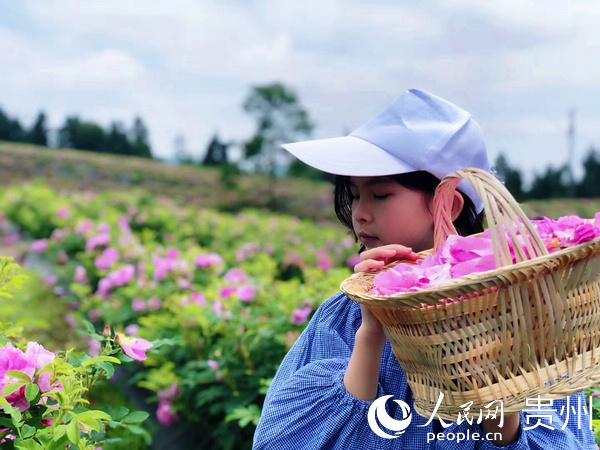 喝富硒玫瑰茶(喝玫瑰茶富硒鸡蛋好吗)-硒宝网