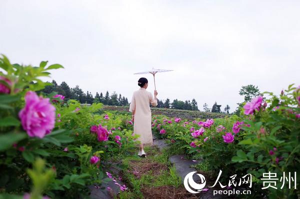 喝富硒玫瑰茶(喝玫瑰茶富硒鸡蛋好吗)-硒宝网