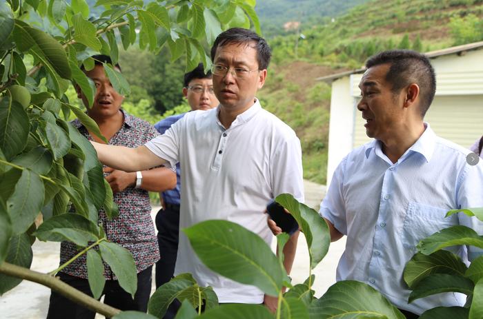 富硒茶牛蹄镇(安康市牛蹄镇新闻)-硒宝网