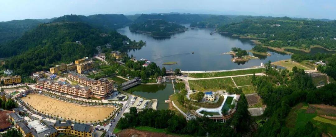 平昌富硒茶图(平昌茶叶)-硒宝网