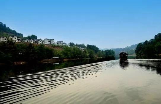 平昌富硒茶图(平昌茶叶)-硒宝网