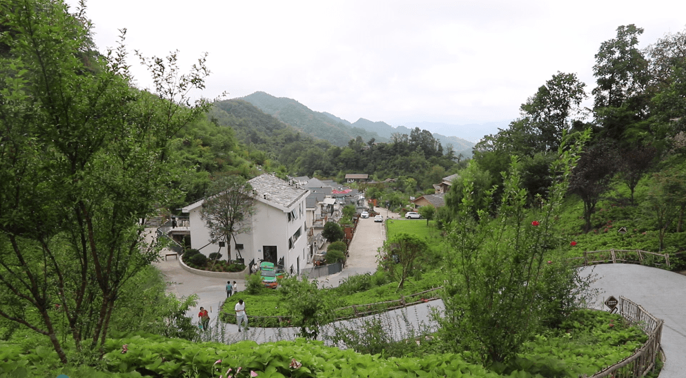 乙肝喝富硒茶(富硒茶对乙肝有什么好处)-硒宝网