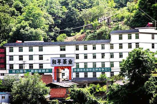 紫阳富硒茶诗(紫阳富硒茶的广告词)-硒宝网