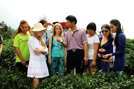 紫阳富硒茶诗(紫阳富硒茶的广告词)-硒宝网