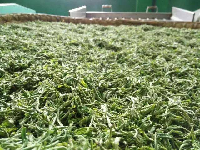 紫阳富硒茶铺(紫阳富硒茶厂)-硒宝网