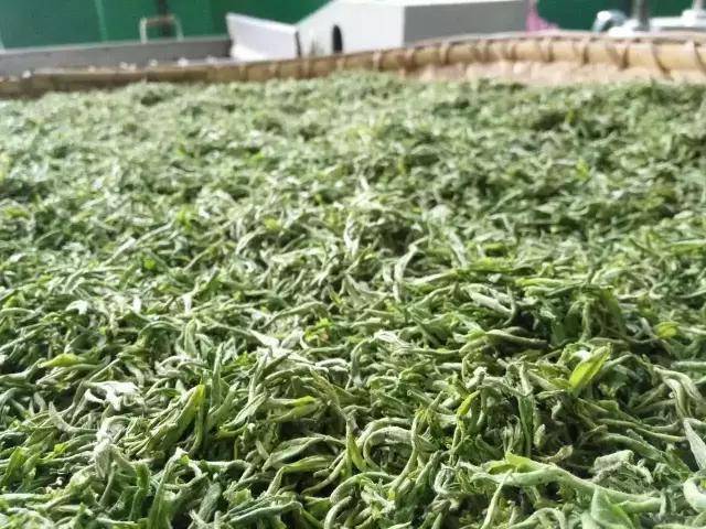 紫阳富硒茶铺(紫阳富硒茶厂)-硒宝网