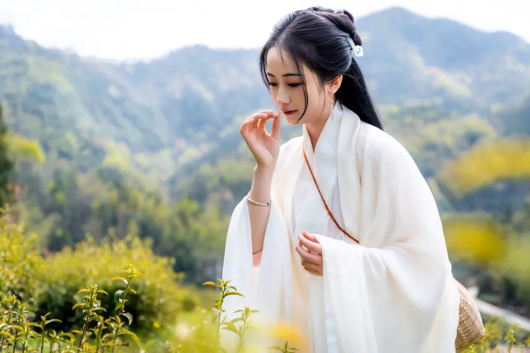 安徽的富硒茶（安徽富硒茶多少钱一斤）-硒宝网