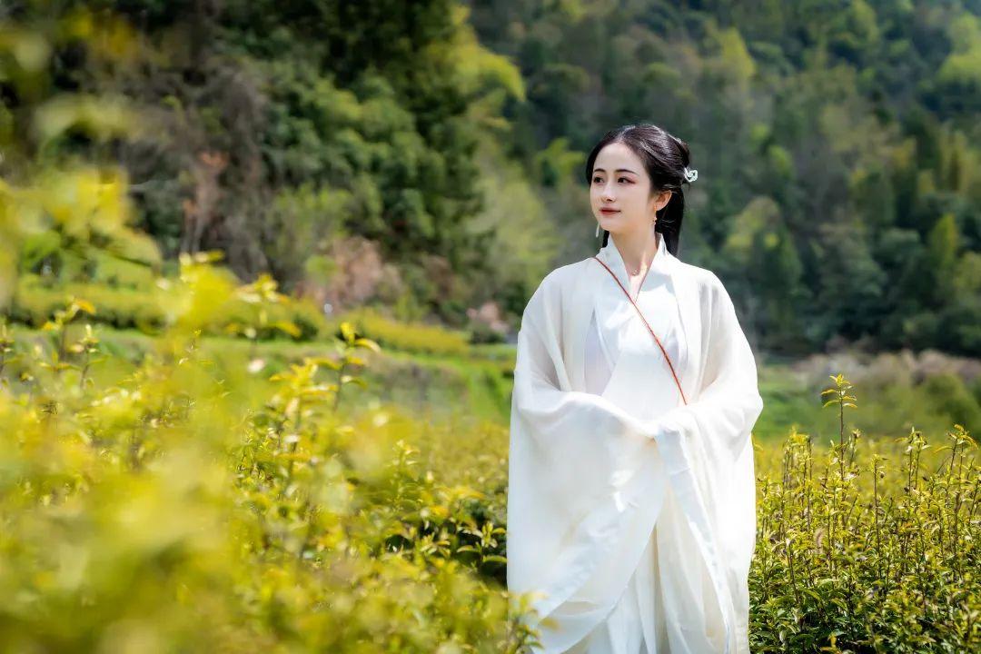 安徽的富硒茶（安徽富硒茶多少钱一斤）-硒宝网