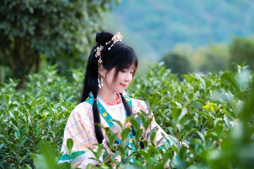 安徽的富硒茶（安徽富硒茶多少钱一斤）-硒宝网