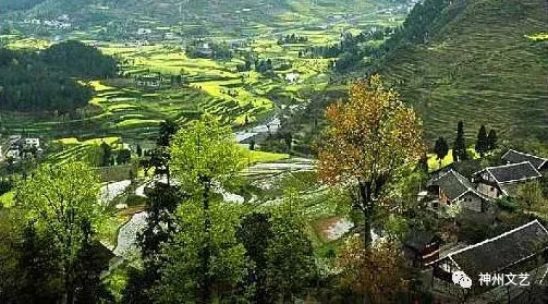 大营盘富硒茶(富硒茶文化)-硒宝网