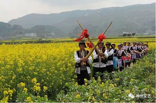 大营盘富硒茶(富硒茶文化)-硒宝网