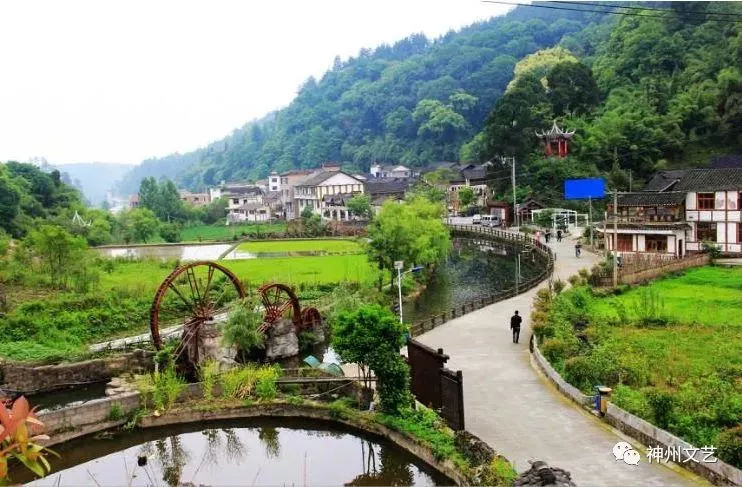 大营盘富硒茶(富硒茶文化)-硒宝网