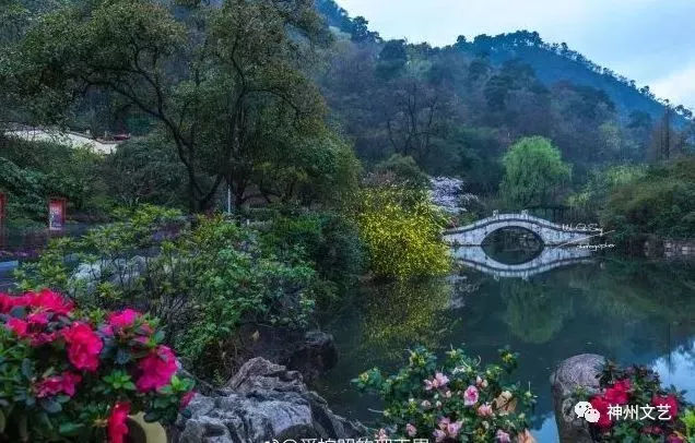 大营盘富硒茶(富硒茶文化)-硒宝网