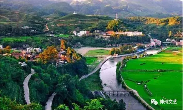 大营盘富硒茶(富硒茶文化)-硒宝网