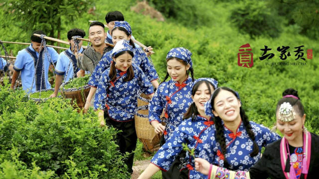 北京富硒莓茶(茶莓富硒北京产地)-硒宝网