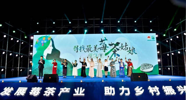 北京富硒莓茶(茶莓富硒北京产地)-硒宝网