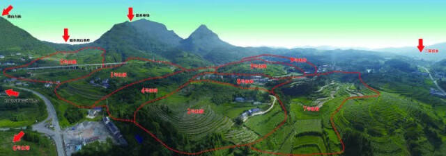 北京富硒莓茶(茶莓富硒北京产地)-硒宝网