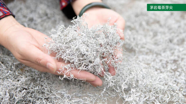 北京富硒莓茶(茶莓富硒北京产地)-硒宝网