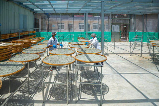 北京富硒莓茶(茶莓富硒北京产地)-硒宝网