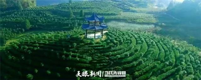 讷河富锌硒茶（茶锌硒饮料）-硒宝网