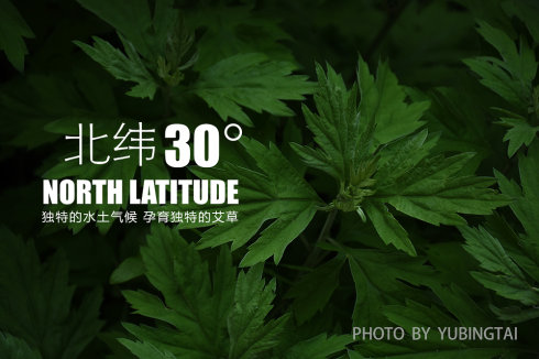 富硒茶负作用(富硒茶叶的功效)-硒宝网