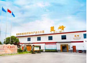 恩施富硒茶王(恩施富硒茶)-硒宝网