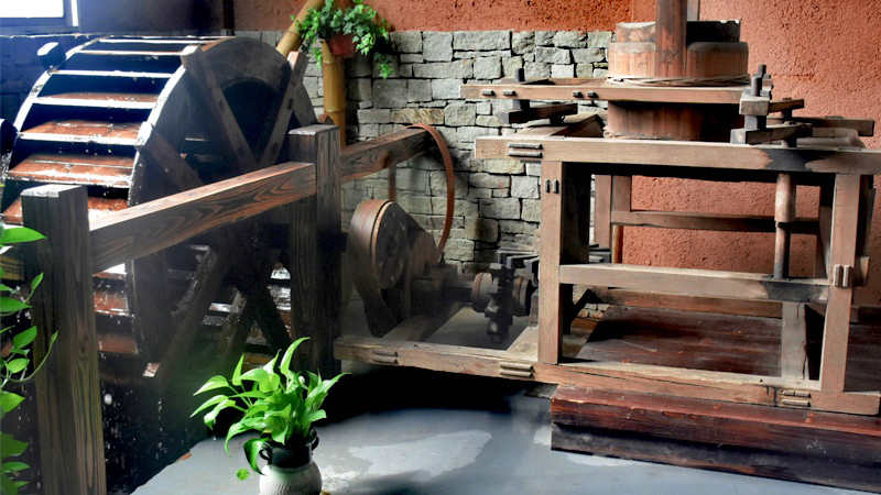 富硒野茶功效（野茶作用）-硒宝网