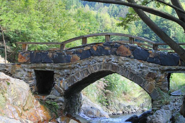 安徽富硒村茶(安徽富硒茶的功效与作用)-硒宝网