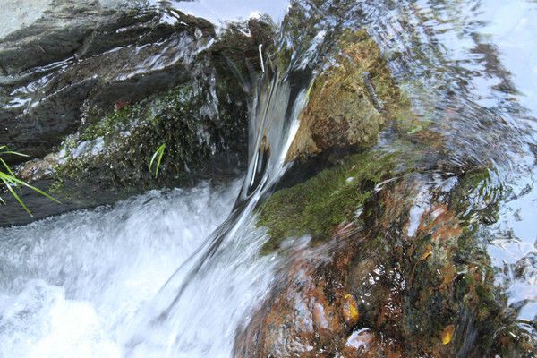 安徽富硒村茶(安徽富硒茶的功效与作用)-硒宝网