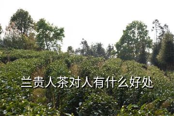 紫阳富硒藤茶（富硒藤茶的功效与作用）-硒宝网