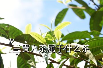紫阳富硒藤茶（富硒藤茶的功效与作用）-硒宝网
