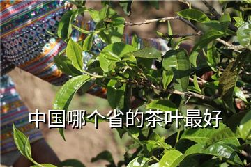 紫阳富硒藤茶（富硒藤茶的功效与作用）-硒宝网