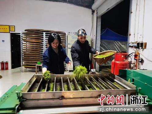 原生富硒黄茶(原生态富硒茶叶)-硒宝网