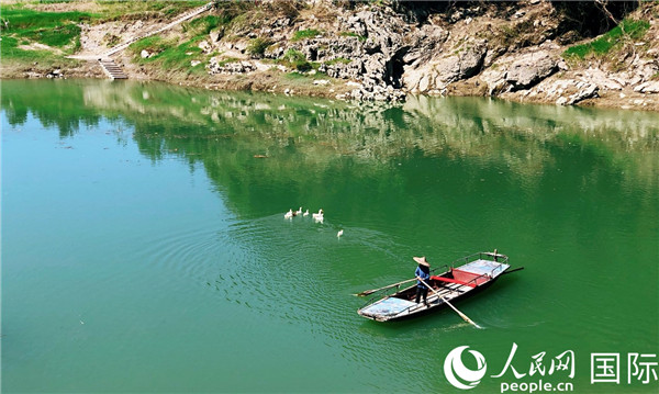 金竹山富硒茶（金竹山古树茶特点）-硒宝网