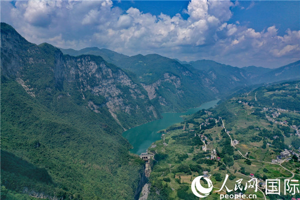 金竹山富硒茶（金竹山古树茶特点）-硒宝网